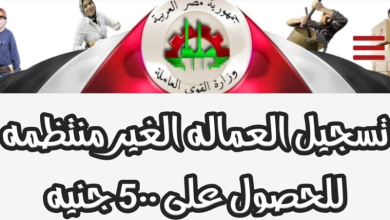 رابط التسجيل في منحة العمالة غير المنتظمة 2024