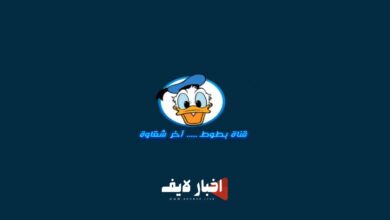 تردد قناة بطوط الجديد 2024 على النايل سات وعرب سات "فرح وسلي ولادك"