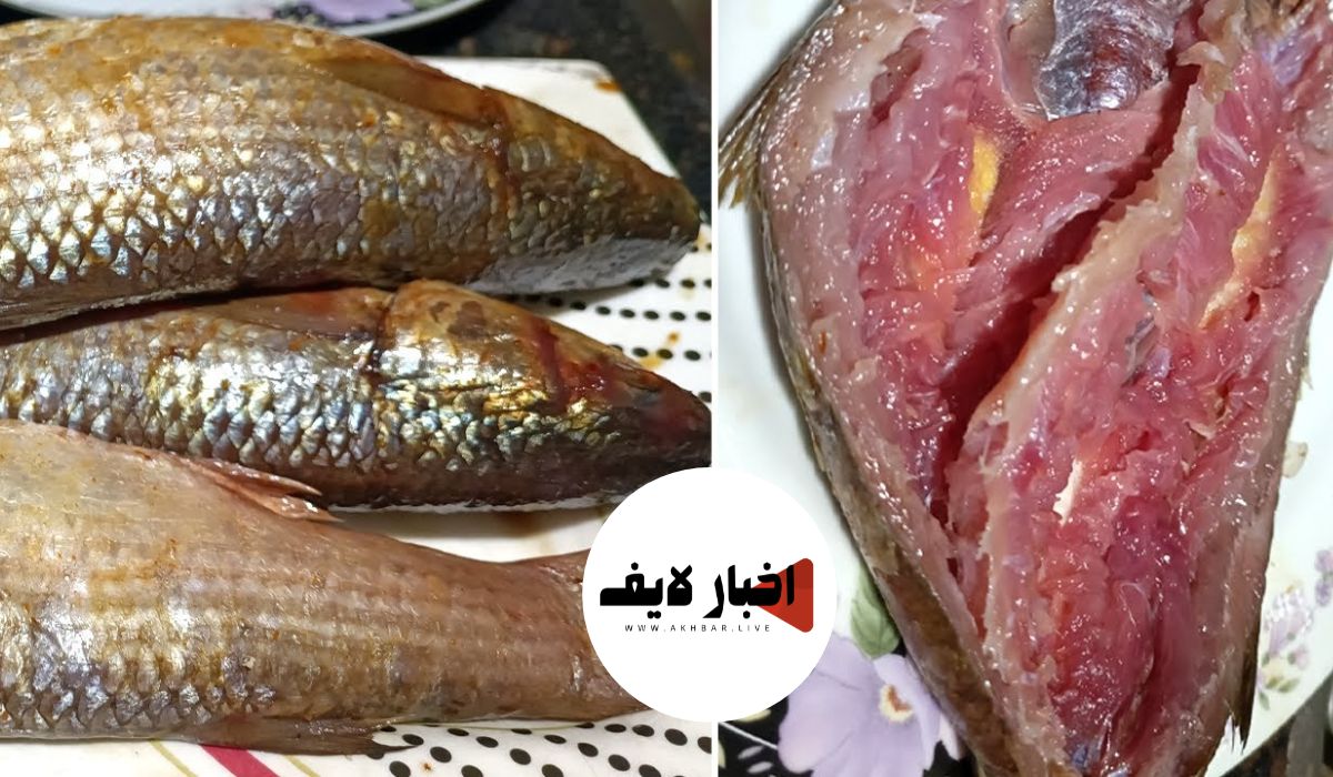 طرق مختلفة لعمل الفسيخ في البيت مثل الجاهز لرمضان والعيد