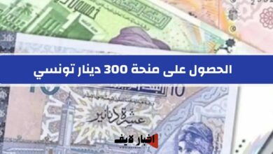 شروط وخطوات الحصول على منحة 300 دينار تونسي من وزارة الشؤون الإجتماعية