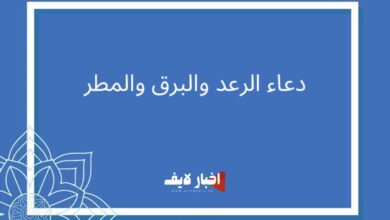 "ردده الآن" دعاء المطر والبرق والرعد.. أفضل الأدعية لقضاء الحوائج